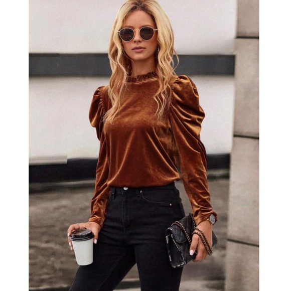 Velvet Leg-of-Mutton Sleeve Top - Picture 5 of 6